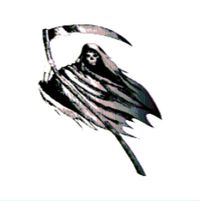 Camera Shy - Reaper