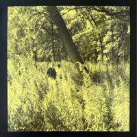 Father Timothy - Field Tape Demo 1: Arboreal Evacuation