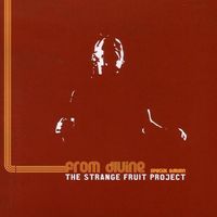 Strange Fruit Project - From Divine