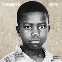 Malesh P - HAYA