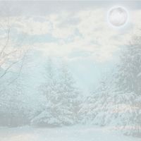 Vapora - Winter Fog