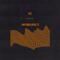Barnacle Boi - Introspect