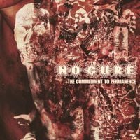 No Cure - The Commitment to Permanence