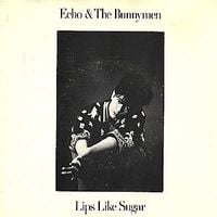 Echo & the Bunnymen - Lips Like Sugar