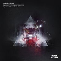Engine-Earz Experiment - Rogue Status / Shadow People