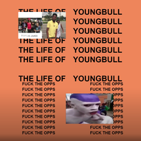 XYZ Robert Smith YT - The Life of Youngbull