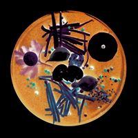 Various Artists - The Ambient Cookbook