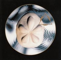 Spacetime Continuum - Sea Biscuit