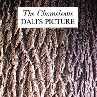 The Chameleons - Dali&rsquo;s Picture