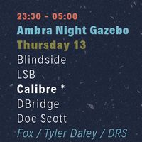 DBridge B2B Doc Scott - dBridge b2b Doc Scott @ Sun And Bass, San Teodoro