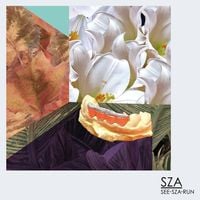 SZA - See.SZA.Run