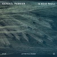 Rapha&euml;l Pannier - Letter to a Friend