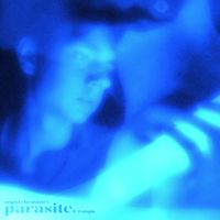 Night Chemistry - Parasite & Wasps