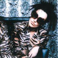 Kayah - Zebra
