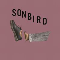Sonbird - Głodny
