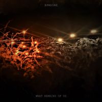 BPMoore - What Remains of Us