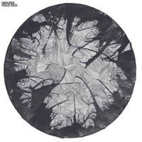 Grouper - Hold/Sick