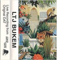 LTJ Bukem - Love of Life