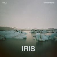 Ruelle - Iris