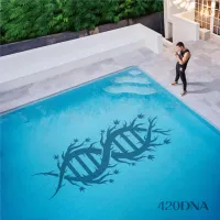 ChillinIt - 420DNA