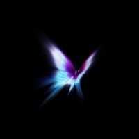 Jaron Steele - BUTTERFLY