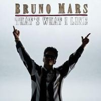 Bruno Mars - That's What I Like