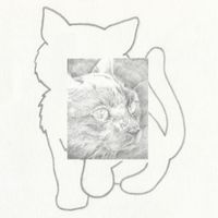 Bumpa - Outdoor Cat