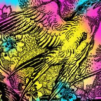 Various Artists - One Swallow Doesn't Make A Summer Part 1