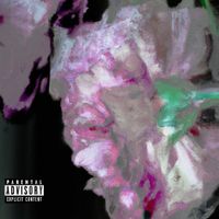 AmyFM - SELF.