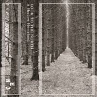 Look To The North - A Shadow Homeland