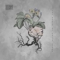 Helicase - The Roots of Empty Space