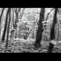 Zelienople - Sleeper Coach
