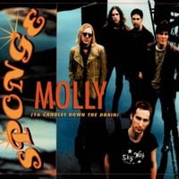 Sponge - Molly (16 Candles Down The Drain)