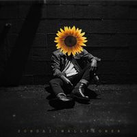 Sondai - Wallflower