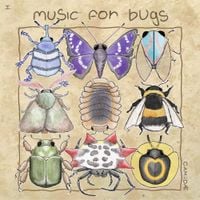 camiidae - music for bugs