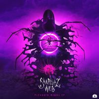 Sharlitz Web - Plexured Minds