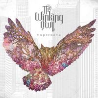 The Winking Owl - Supernova