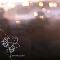 aquarifa - scene