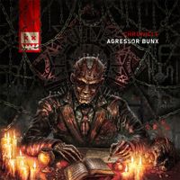 Agressor Bunx - Chronicle