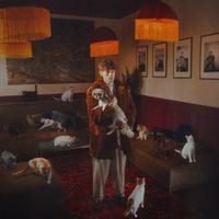 Dawid Tyszkowski - M&oacute;j kot zaginął i już raczej nie wr&oacute;ci