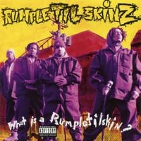 Rumpletilskinz - What Is a Rumpletilskin?