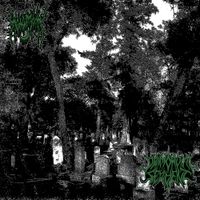 Hellmoon - HELLMOON / PRIMORDIAL SERPENT SPLIT