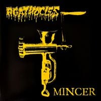 Agathocles - Mincer