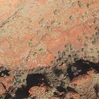 Lawrence English & Werner Dafeldecker - Tropic of Capricorn