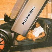 Travis Scott - BUTTERFLY EFFECT