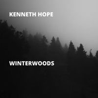 Kenneth Hope - Winterwoods