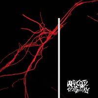 Welcome Strawberry - Scared to Look
