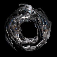 Various Artists - Realm Of Consciousness Pt.VI