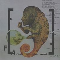 Front Line Assembly - FLAvour of the Weak