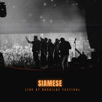 Siamese - Live at Roskilde Festival